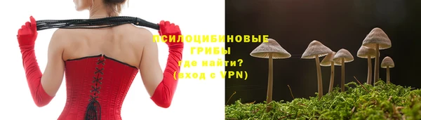 стаф Белоозёрский