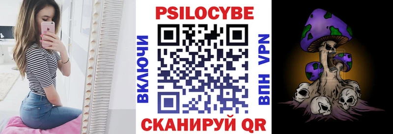 наркота  Нерюнгри  Галлюциногенные грибы Cubensis 