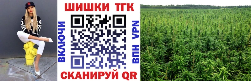 omg маркетплейс  Нерюнгри  Бошки Шишки планчик 